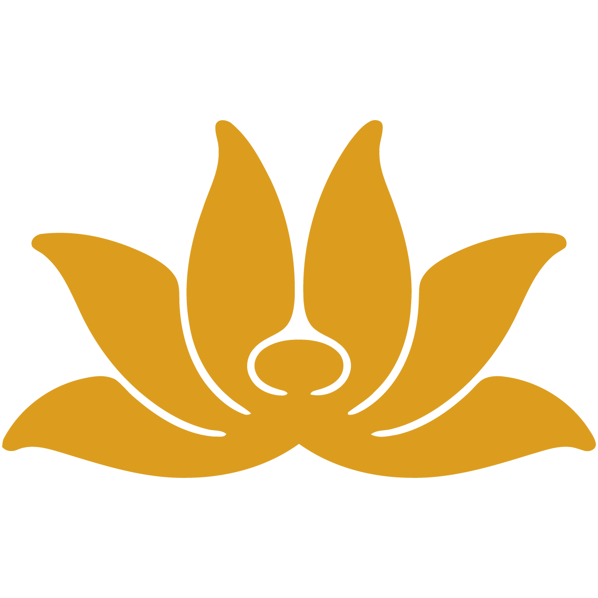 Vietnam Airlines Vietnam Airlines