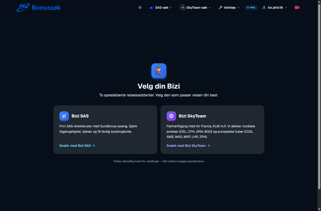 Screenshot of the AI assistant in Bonussøk